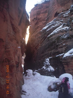 142 72p. Zion National Park - Observation Point hike