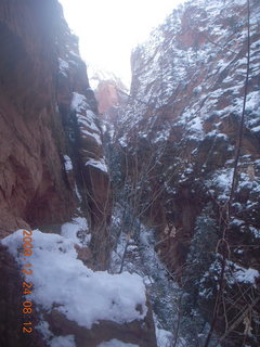 Zion National Park - frost on rental car