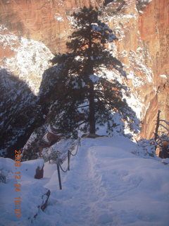 51 72q. Zion National Park - Angels Landing hike