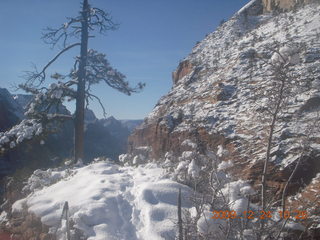 75 72q. Zion National Park - Angels Landing hike