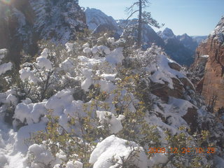 Zion National Park - Angels Landing hike