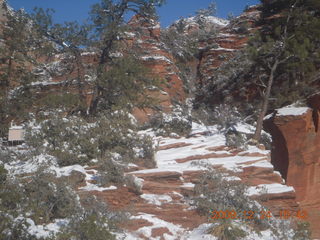 88 72q. Zion National Park - west rim hike