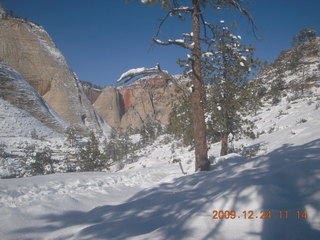 98 72q. Zion National Park - west rim hike