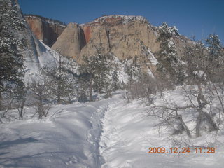 Zion National Park - west rim hike