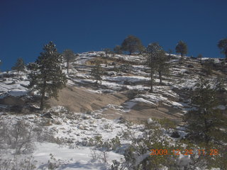 106 72q. Zion National Park - west rim hike