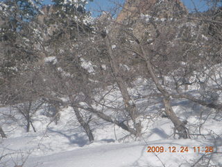 107 72q. Zion National Park - west rim hike