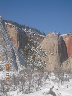 111 72q. Zion National Park - west rim hike