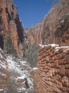 Zion National Park - down from Angels Landing