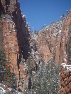 Zion National Park - down from Angels Landing