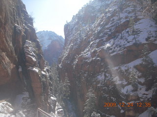 Zion National Park - west rim hike