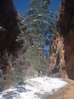 128 72q. Zion National Park - down from Angels Landing