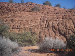 51 72r. Snow Canyon State Park - Butterfly trail