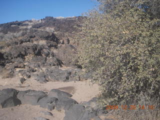 57 72r. Snow Canyon State Park - Butterfly trail