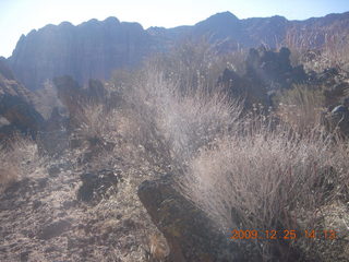 59 72r. Snow Canyon State Park - Butterfly trail