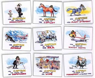 Airline Captain as seen by others - cartoon