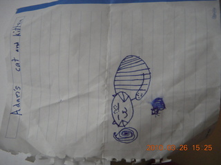 Nikki's drawing of my cat and kitten