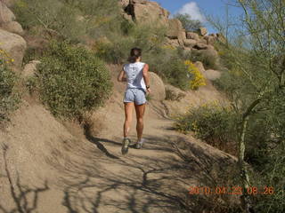 Pinnacle Peak saguaro cactus
