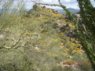 Pinnacle Peak runner