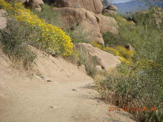 Pinnacle Peak