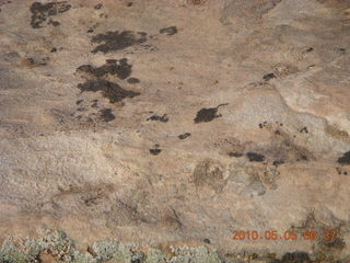 29 775. Arches National Park - Devil's Garden and Dark Angel hike