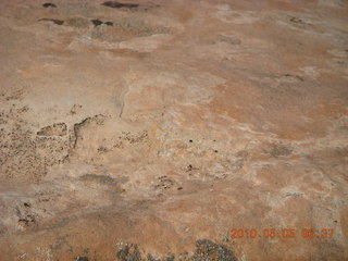 30 775. Arches National Park - Devil's Garden and Dark Angel hike