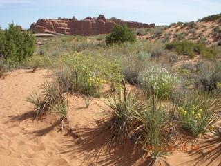 49 775. Arches National Park - Devil's Garden and Dark Angel hike