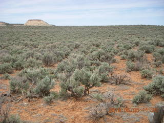 61 775. Drive to Canyonlands Needles