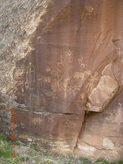 63 775. Drive to Canyonlands Needles - Newspaper Rock