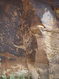 67 775. Drive to Canyonlands Needles - Newspaper Rock