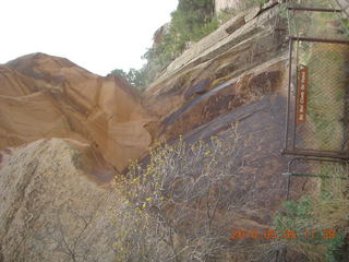 68 775. Drive to Canyonlands Needles - Newspaper Rock