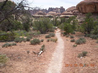 87 775. Canyonlands National Park Needles - Chesler Park hike