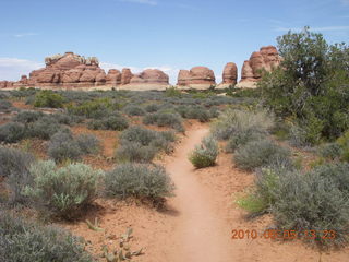 94 775. Canyonlands National Park Needles - Chesler Park hike