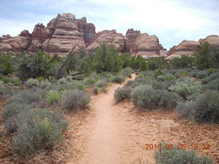 96 775. Canyonlands National Park Needles - Chesler Park hike