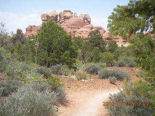 100 775. Canyonlands National Park Needles - Chesler Park hike