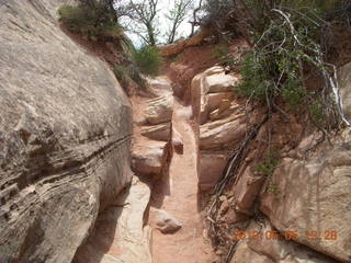 103 775. Canyonlands National Park Needles - Chesler Park hike