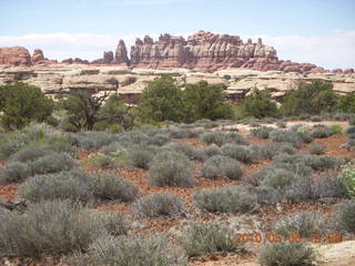 107 775. Canyonlands National Park Needles - Chesler Park hike