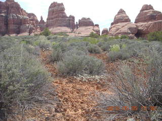 108 775. Canyonlands National Park Needles - Chesler Park hike