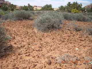 109 775. Canyonlands National Park Needles - Chesler Park hike