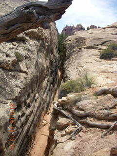 111 775. Canyonlands National Park Needles - Chesler Park hike