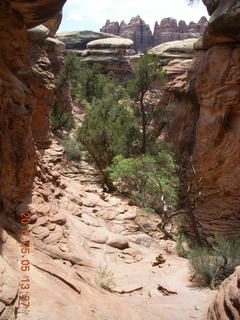 112 775. Canyonlands National Park Needles - Chesler Park hike