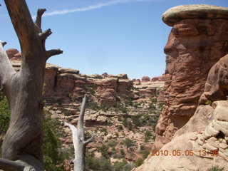 115 775. Canyonlands National Park Needles - Chesler Park hike