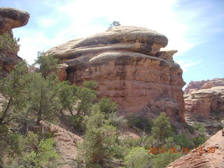 117 775. Canyonlands National Park Needles - Chesler Park hike