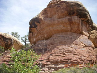 118 775. Canyonlands National Park Needles - Chesler Park hike