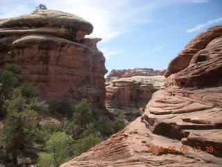 119 775. Canyonlands National Park Needles - Chesler Park hike