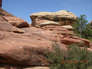 121 775. Canyonlands National Park Needles - Chesler Park hike