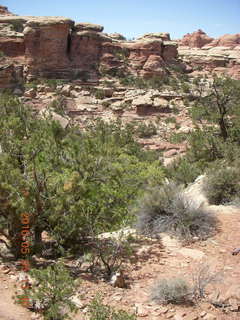 122 775. Canyonlands National Park Needles - Chesler Park hike