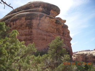 123 775. Canyonlands National Park Needles - Chesler Park hike