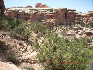 124 775. Canyonlands National Park Needles - Chesler Park hike