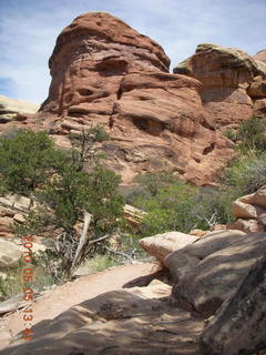 126 775. Canyonlands National Park Needles - Chesler Park hike