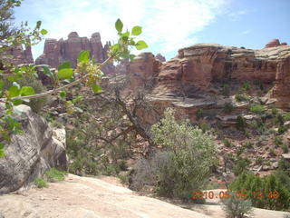 130 775. Canyonlands National Park Needles - Chesler Park hike